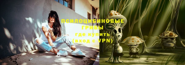 соль ск Гусев