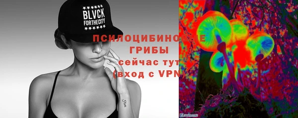 соль ск Гусев