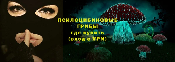 спайс Гусь-Хрустальный
