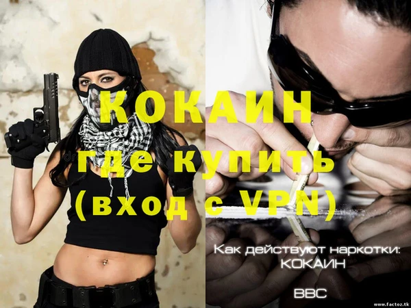 спайс Гусь-Хрустальный