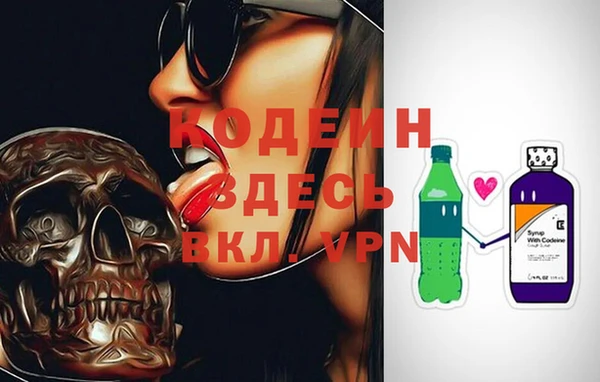 спайс Гусь-Хрустальный