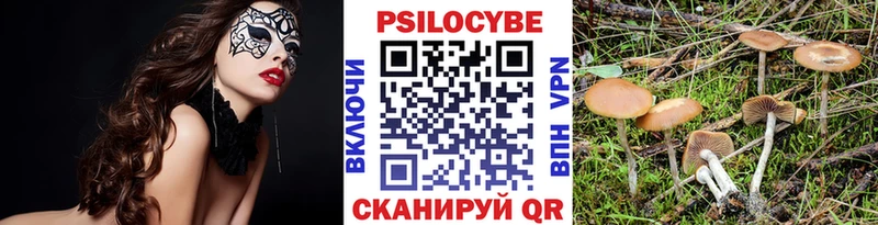 Псилоцибиновые грибы Psilocybe  Октябрьск 